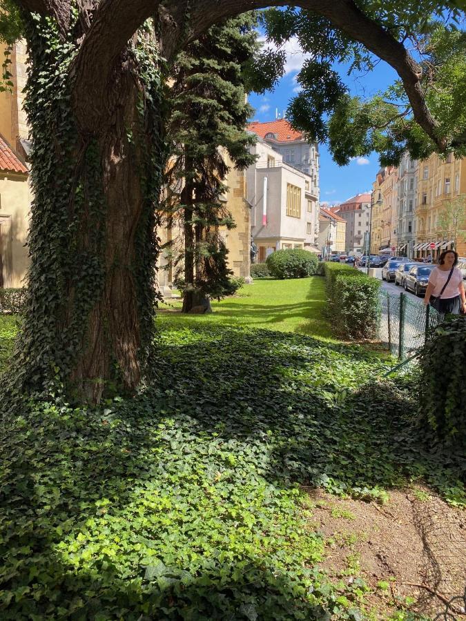 Central Apartments, Prague Old Town المظهر الخارجي الصورة